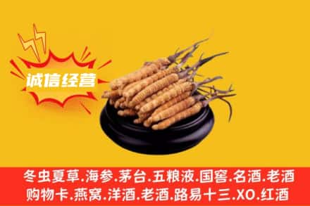大柴旦县回收冬虫夏草